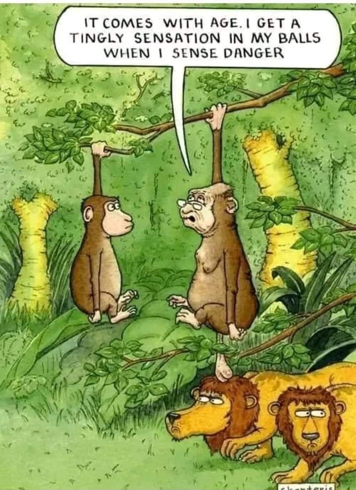 IT COMES WITH AGE GET A TINGLY SENSATION IN MY BALLS WHEN SENSE DANGER 0 u oS D 4 2 N T Y e