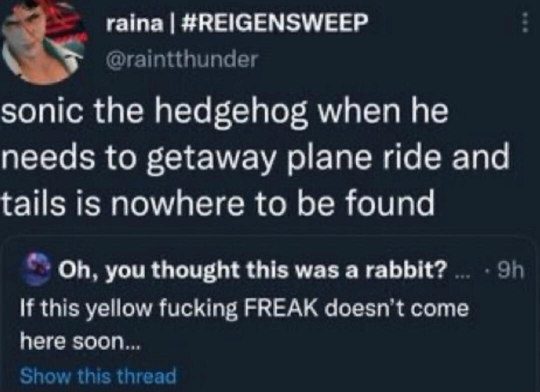 raina REIGENSWEEP raintthunder sonic the hedgehog when he QLT ER G WA o Yo N e SR o tails is nowhere to be found f Oh you thought this was a rabbit 9h If this yellow fucking FREAK doesnt come CICELL Show this thread