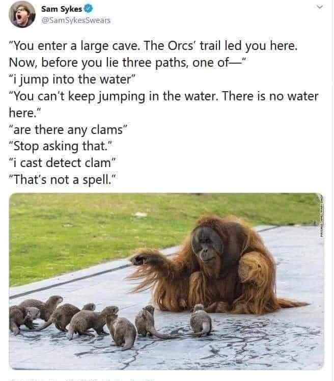 You enter a large cave The Orcs trail led you here Now before you lie three paths one of i jump into the water You cant keep jumping in the water There is no water here are there any clams Stop asking that i cast detect clam Thats not a spell