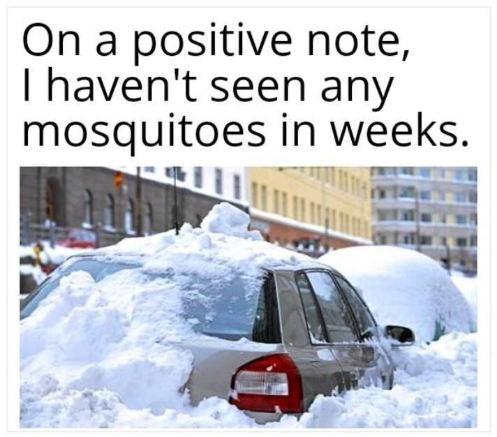 On a positive note I havent seen any mosquitoes in weeks Y