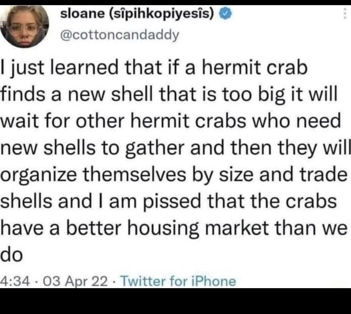 sloane sipihkopiyesis cottoncandaddy just learned that if a hermit crab finds a new shell that is too big it will wait for other hermit crabs who need new shells to gather and then they will organize themselves by size and trade shells and am pissed that the crabs have a better housing market than we do 434 03 Apr 22 Twitter for iPhone