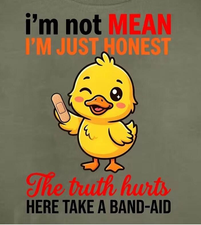 I'm not MEAN I'M JUST HONEST The truth hurts HERE TAKE A BAND-AID