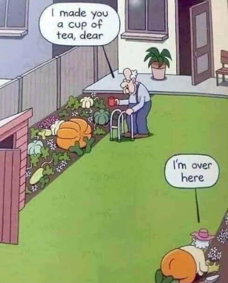 I made you a cup of tea, dear. I'm over here.