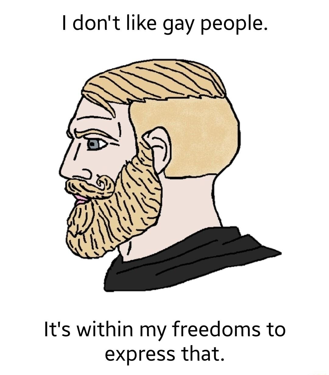 dont like gay people Its within my freedoms to express that