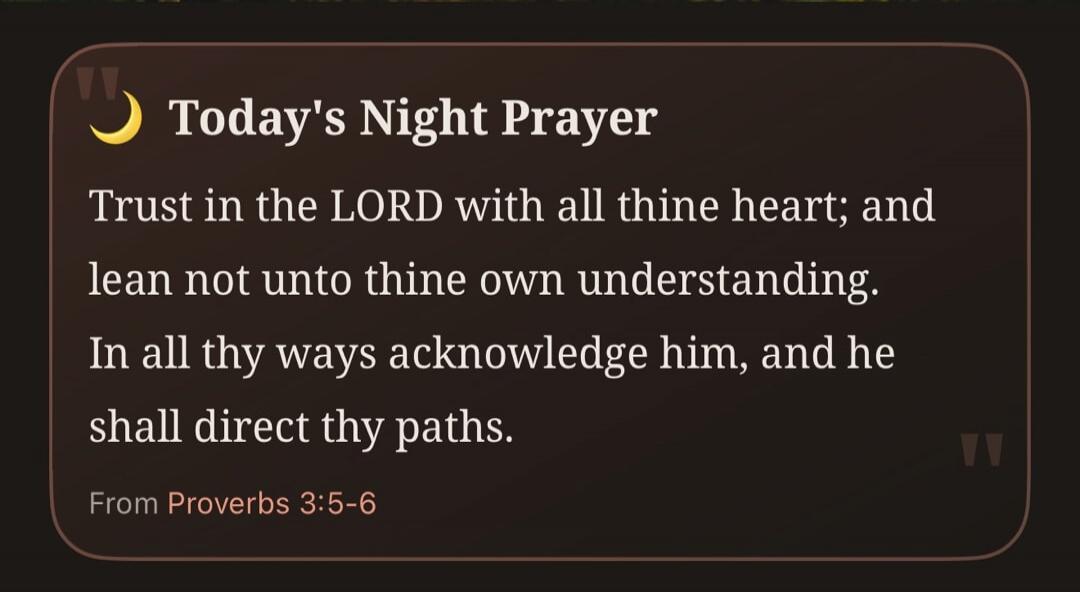 Today's Night Prayer Trust in the LORD with all thine heart; and lean not unto thine own understanding. In all thy ways acknowledge him, and he shall direct thy paths. From Proverbs 3:5-6