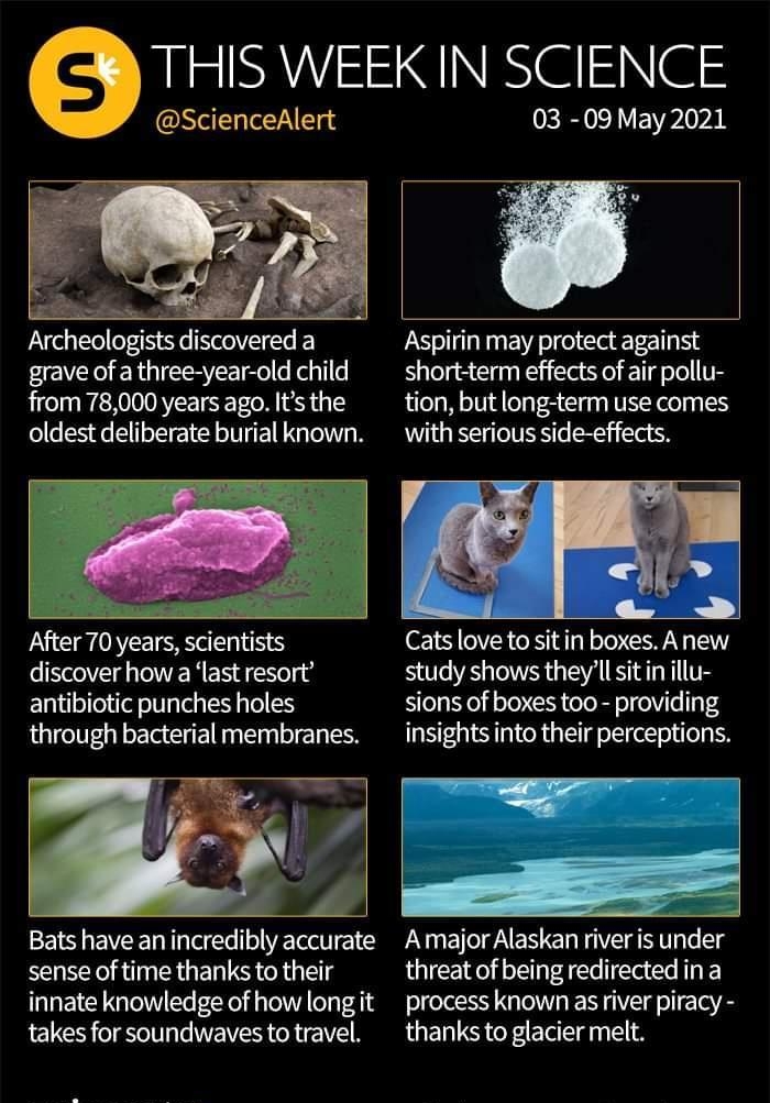 LSV SN NN SN S ScienceAlert 03 09 May 2021 Archeologlsrs dlscovered El Aspirin may protect against grave of a three year old child short term effects of air pollu from 78000 years ago Its the tion but long term use comes oldest deliberate burial known with serious side effects After 70 years scientists Cats love tositin boxes Anew V g ERER el i g study shows theyll sitin illu antibiotic punches ho