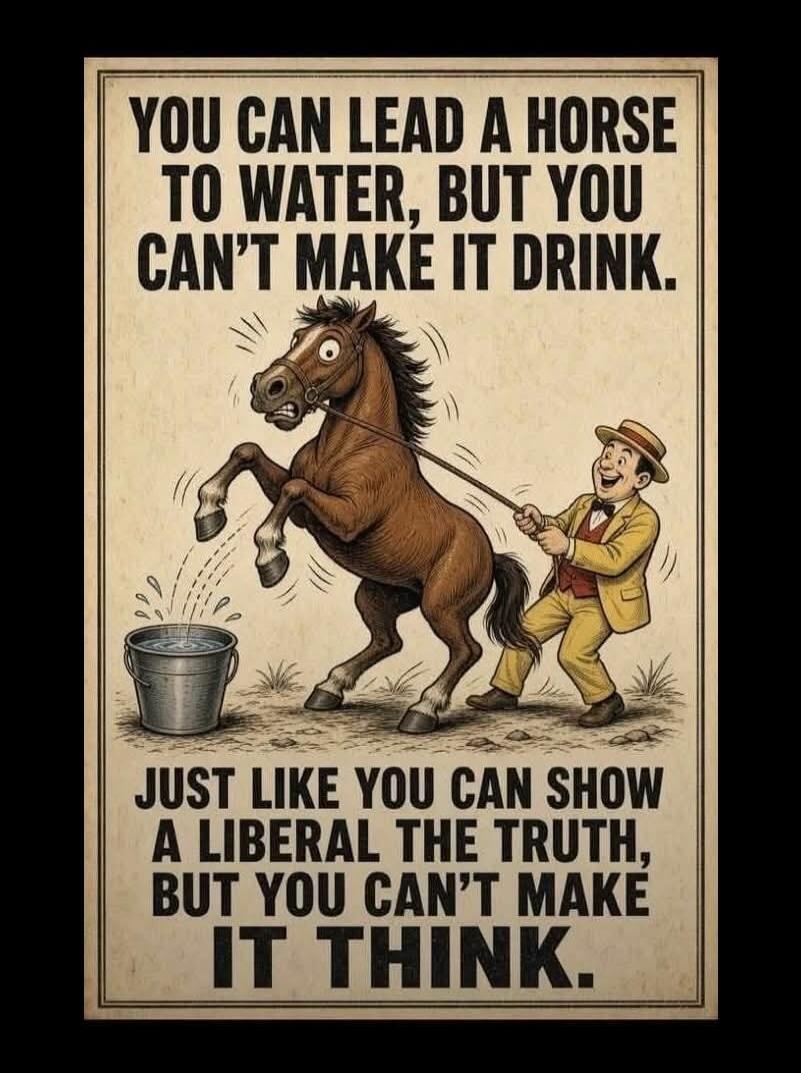 YOU CAN LEAD A HORSE TO WATER, BUT YOU CAN'T MAKE IT DRINK. JUST LIKE YOU CAN SHOW A LIBERAL THE TRUTH, BUT YOU CAN'T MAKE IT THINK.