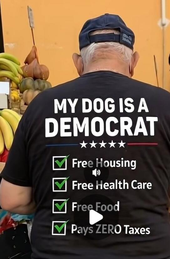 MY DOG IS A DEMOCRAT. Free Housing. Free Health Care. Free Food. Pays ZERO Taxes.