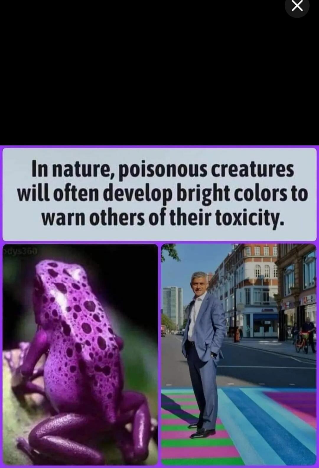 In nature, poisonous creatures will often develop bright colors to warn others of their toxicity.