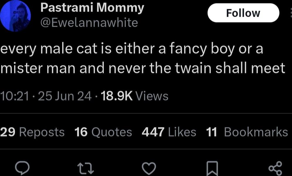 Pastrami Mommy QEERRENGHE every male cat is either a fancy boy or a NS CIENERENCIMEVEIR G ERETERE NN EE B2 RVIH V 2 X 1 QUEIVE 29 Reposts 16 Quotes 447 Likes 11 Bookmarks i W N o