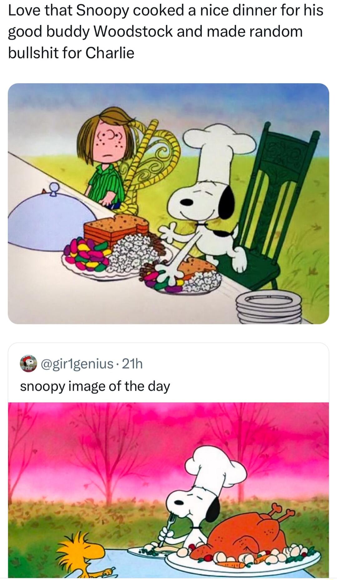 Love that Snoopy cooked a nice dinner for his good buddy Woodstock and made random bullshit for Charlie egirtgenius 21h snoopy image of the day