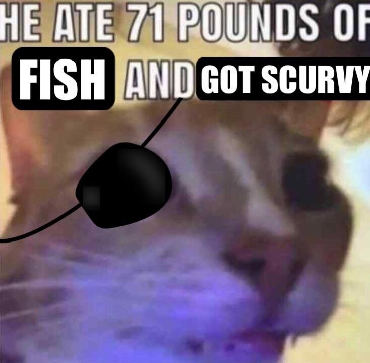 HESATE ZIROUNDS OF rIISI_ ND GOT SCURVY