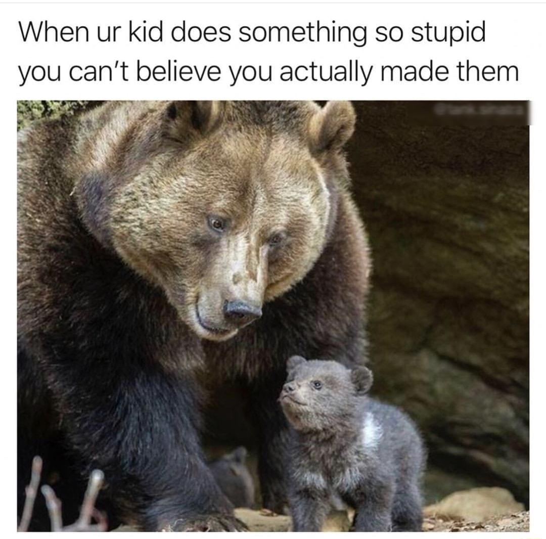 When ur kid does something so stupid you cant believe you actually made them 5 MR pRENT Ee W B t 7 3 w Lan
