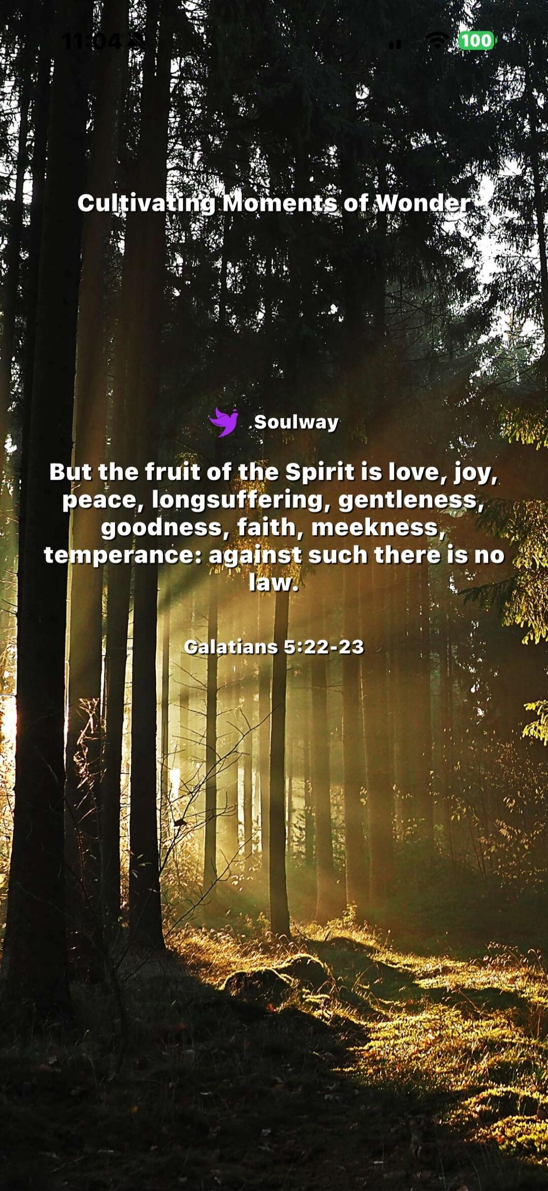 Cultivating Moments of Wonder. Soulway. But the fruit of the Spirit is love, joy, peace, longsuffering, gentleness, goodness, faith, meekness, temperance: against such there is no law. Galatians 5:22-23