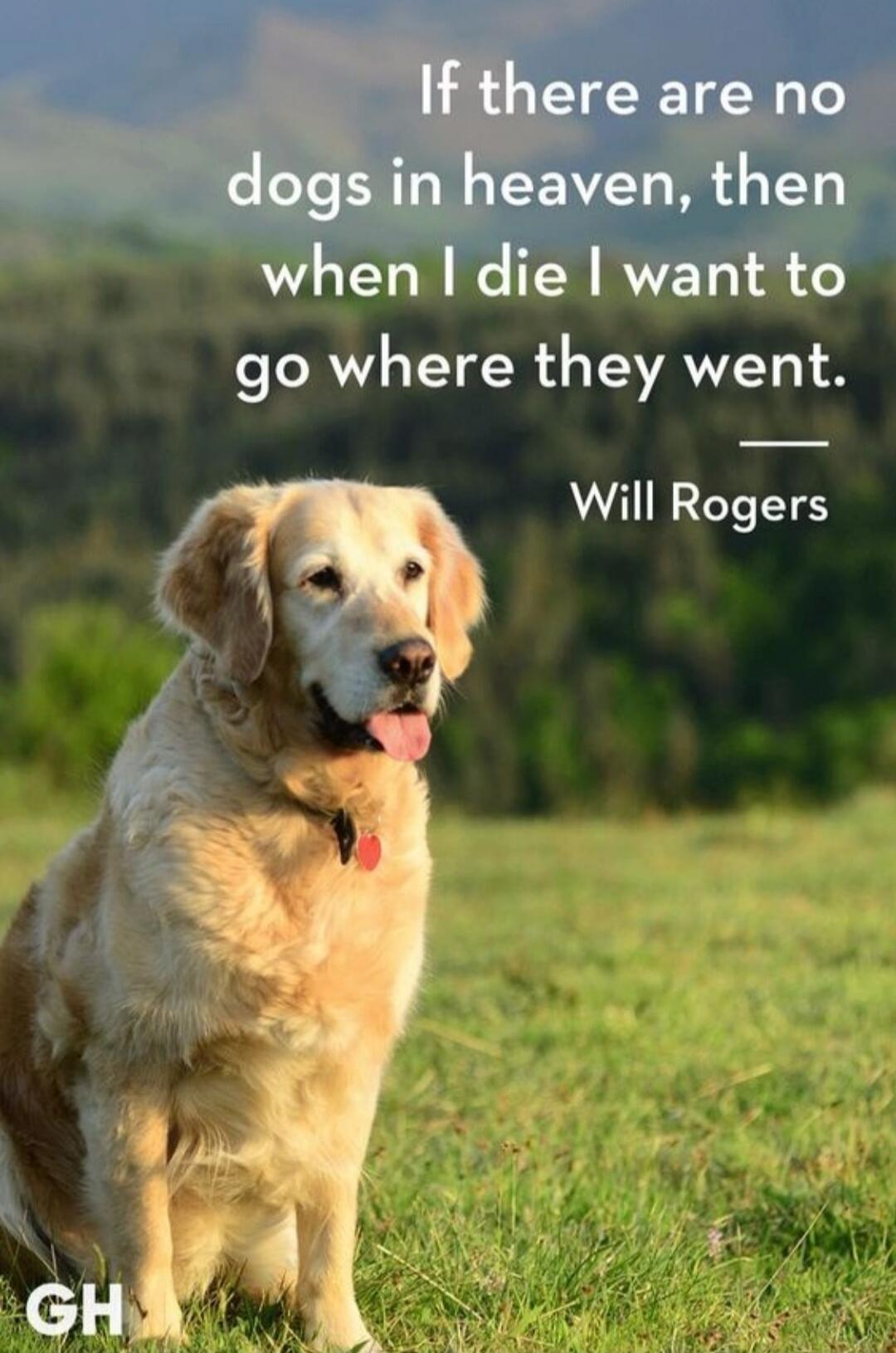 If there are no dogs in heaven, then when I die I want to go where they went. Will Rogers