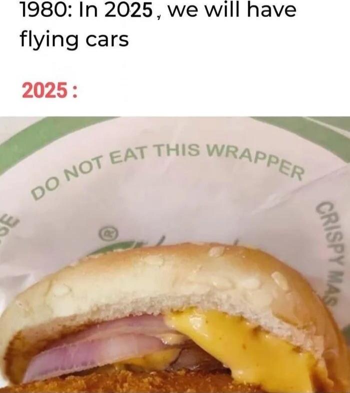 1980 In 2025 we will have flying cars