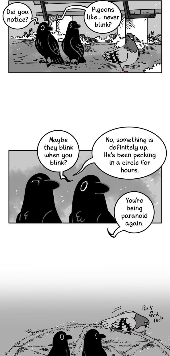 Maybe No something is they blink definitely up when you Hes been pecking blink ina circle for hours Youre being paranoid again