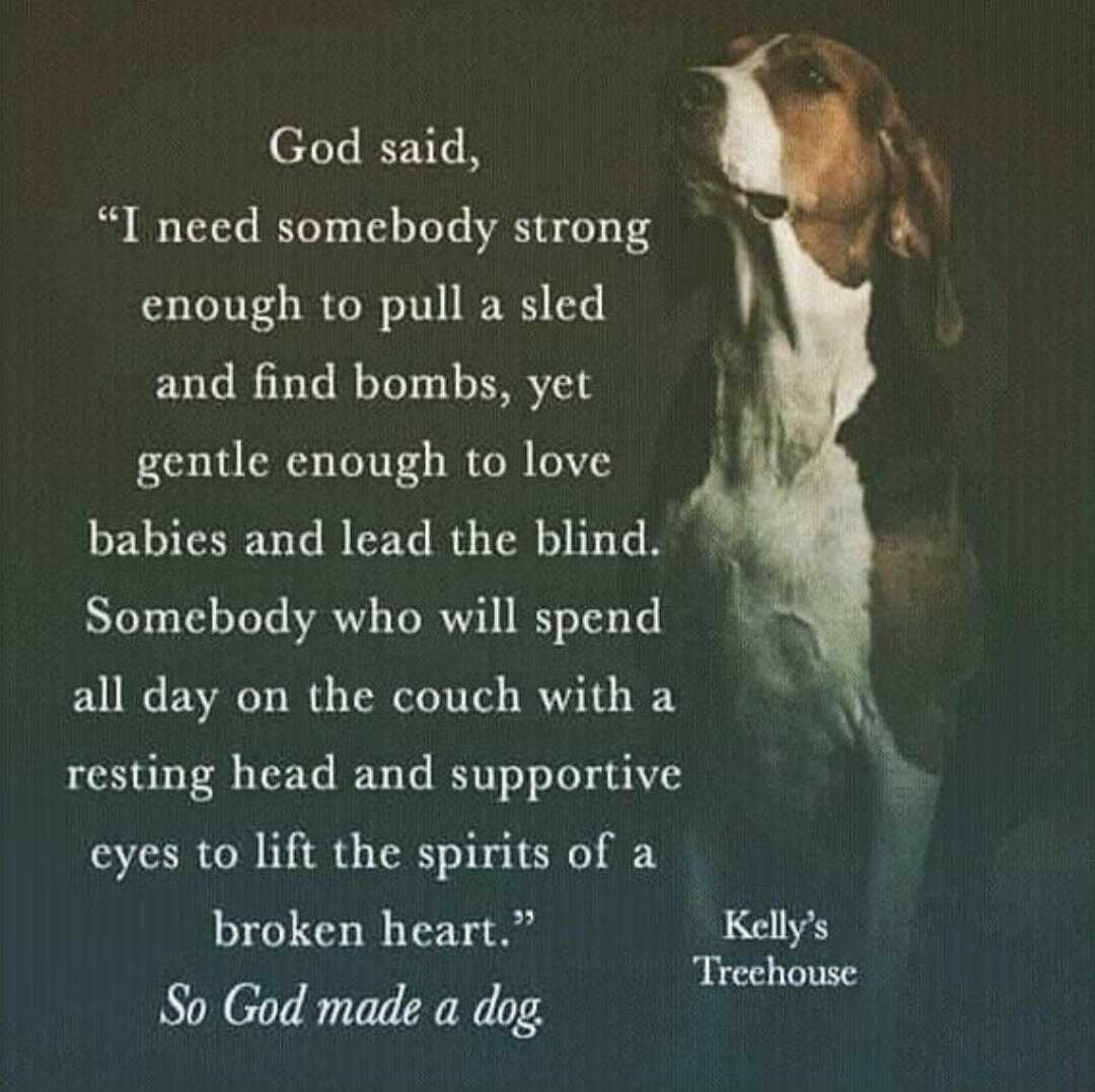 God said, “I need somebody strong enough to pull a sled and find bombs, yet gentle enough to love babies and lead the blind. Somebody who will spend all day on the couch with a resting head and supportive eyes to lift the spirits of a broken heart.” So God made a dog. Kelly's Treehouse