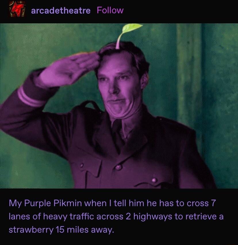 m arcadetheatre Follow My Purple Pikmin when tell him he has to cross 7 lanes of heavy traffic across 2 highways to retrieve a strawberry 15 miles away