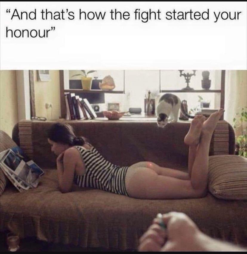 And thats how the fight started your honour