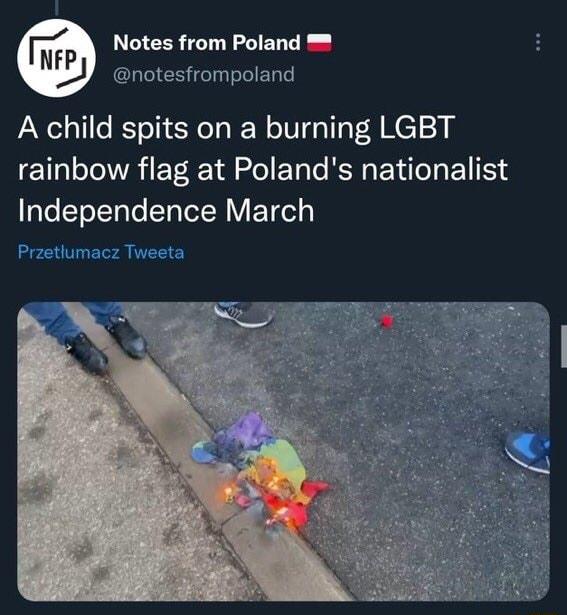 Notes from Poland notesfrompoland A child spits on a burning LGBT rainbow flag at Polands nationalist aleSTeTTolo STalel RV ETel Przetlumacz Tweeta