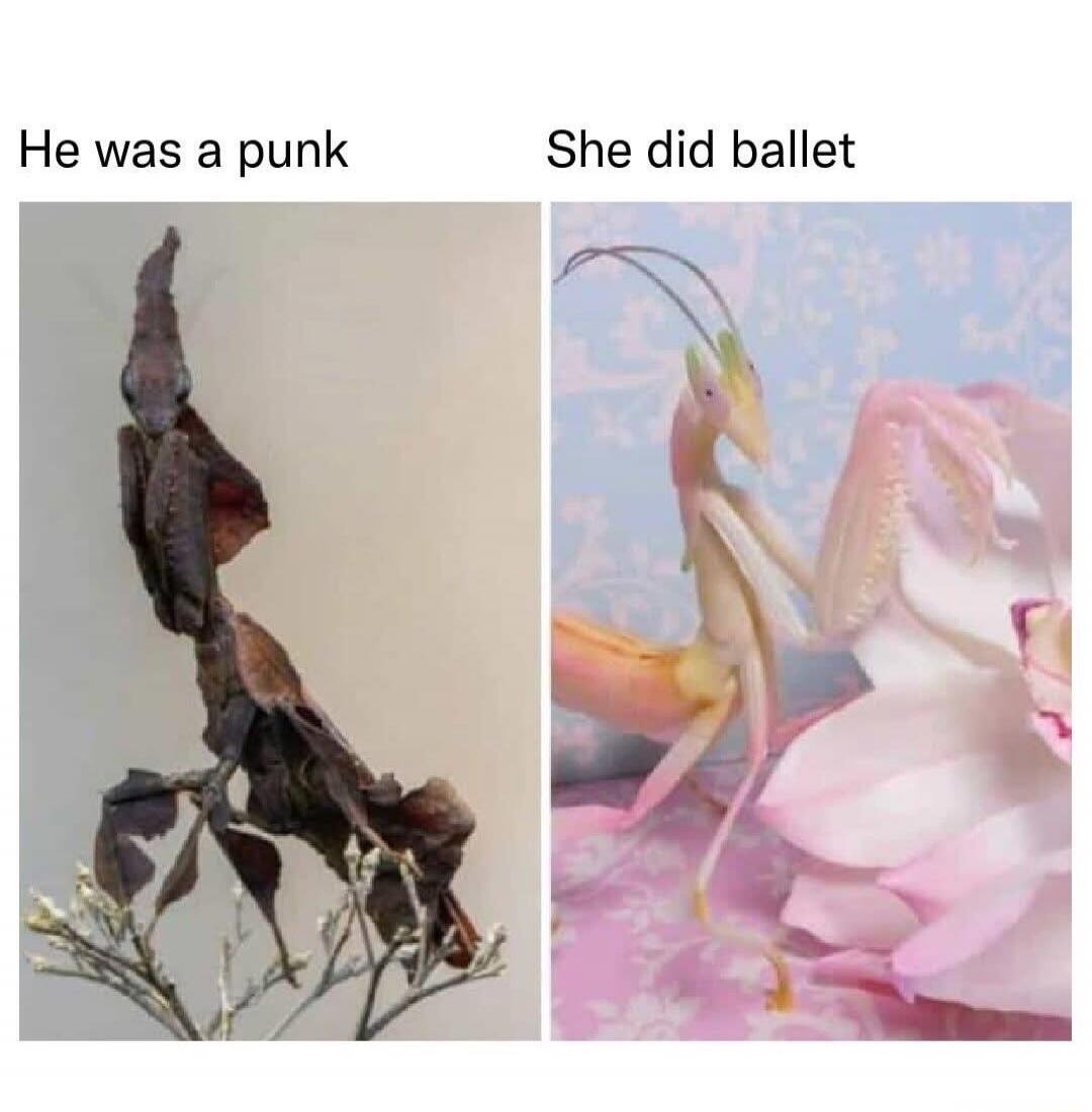 He was a punk She did ballet