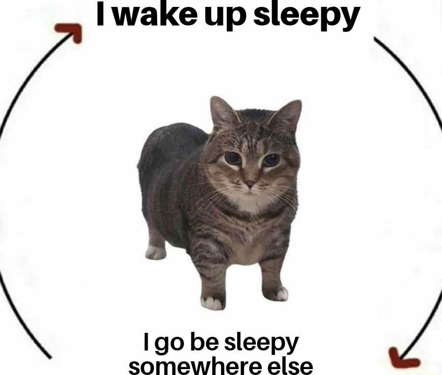 Iwake up sleepy 1go be sleepy P somewhere else