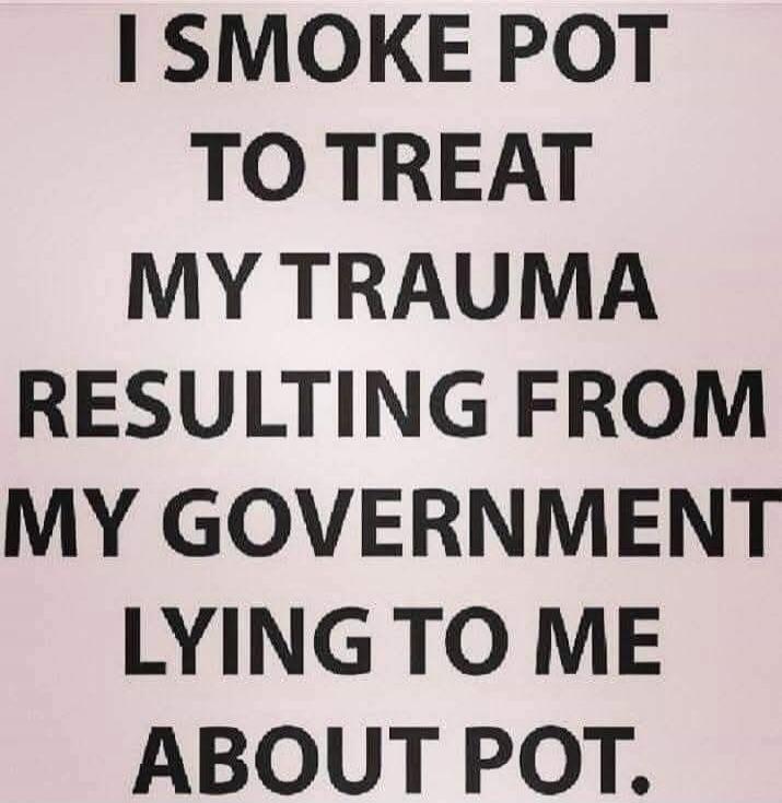 I SMOKE POT TO TREAT MY TRAUMA RESULTING FROM MY GOVERNMENT LYING TO ME ABOUT POT.