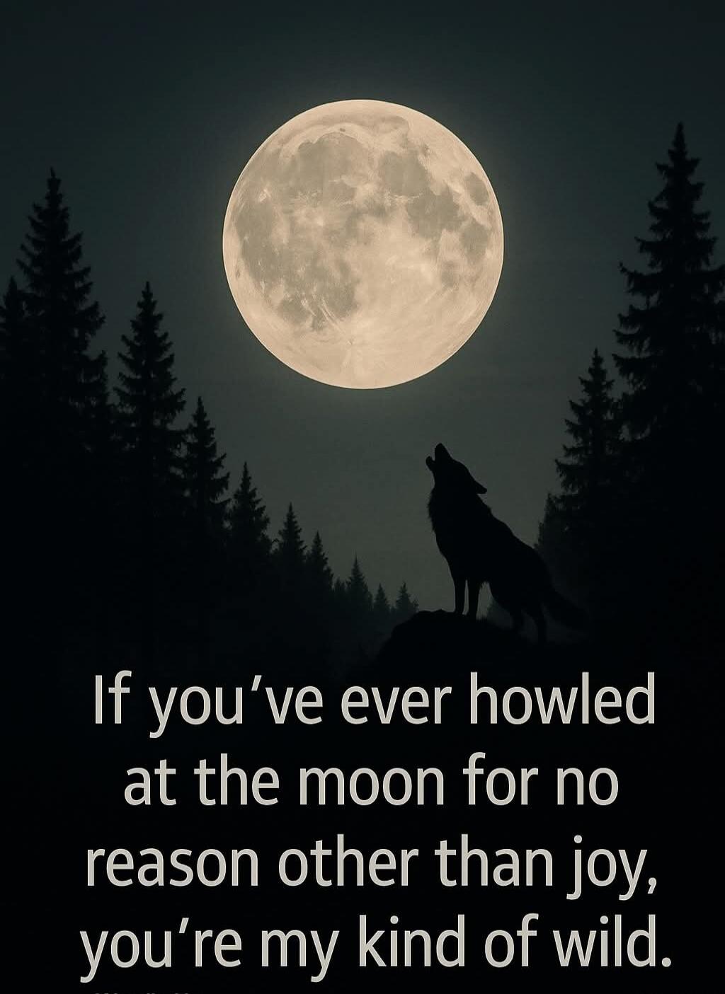 If you’ve ever howled at the moon for no reason other than joy, you’re my kind of wild.