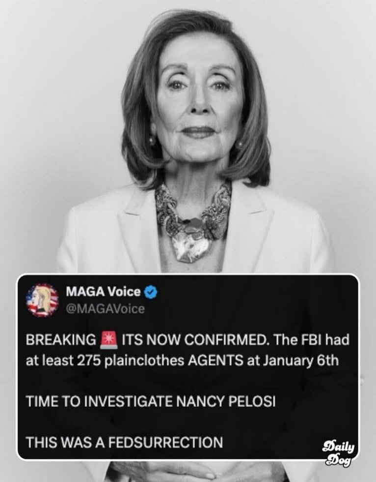 MAGA Voice @MAGAVoice BREAKING 🚨 ITS NOW CONFIRMED. The FBI had at least 275 plainclothes AGENTS at January 6th TIME TO INVESTIGATE NANCY PELOSI THIS WAS A FEDSURRECTION Daily Dog