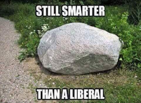 STILL SMARTER THAN A LIBERAL