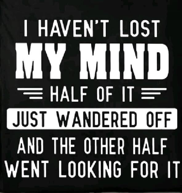 I HAVEN'T LOST MY MIND = HALF OF IT = JUST WANDERED OFF AND THE OTHER HALF WENT LOOKING FOR IT
