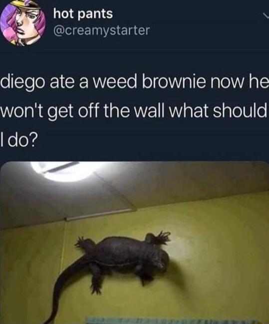 hot pants A creamystarter 3 Y diego ate a weed brownie now he WelahdelieiRal R1 RO aFo1 S alolfo Kelos