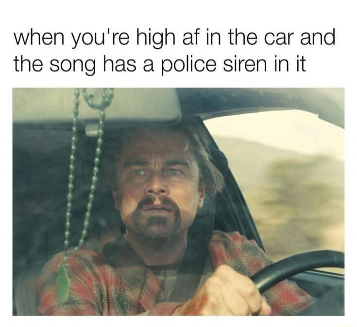 when you're high af in the car and the song has a police siren in it