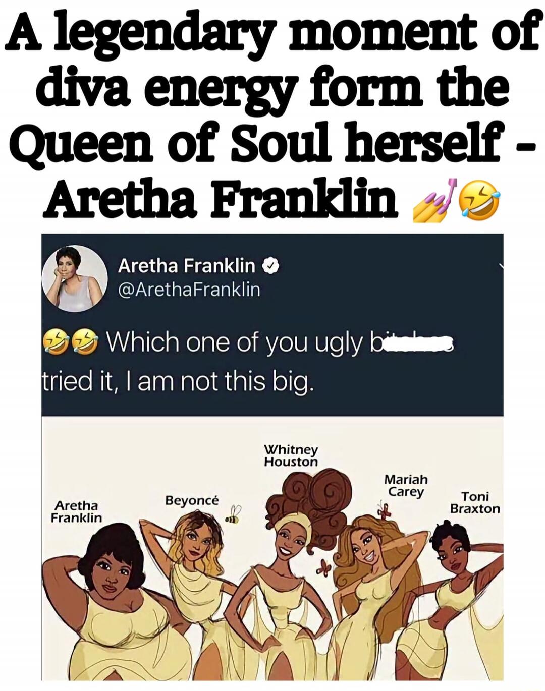 A legendary moment of diva energy from the Queen of Soul herself - Aretha Franklin. Aretha Franklin @ArethaFranklin. Which one of you ugly b**** tried it, I am not this big. Aretha Franklin, Beyoncé, Whitney Houston, Mariah Carey, Toni Braxton.