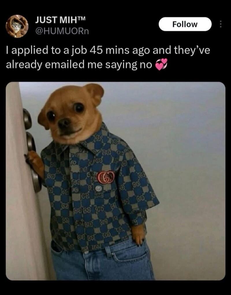 JUST MIH™ @HUMUORn Follow. I applied to a job 45 mins ago and they've already emailed me saying no 💕. A chihuahua dog dressed in a patterned shirt and jeans, standing upright, with an expression of disappointment.