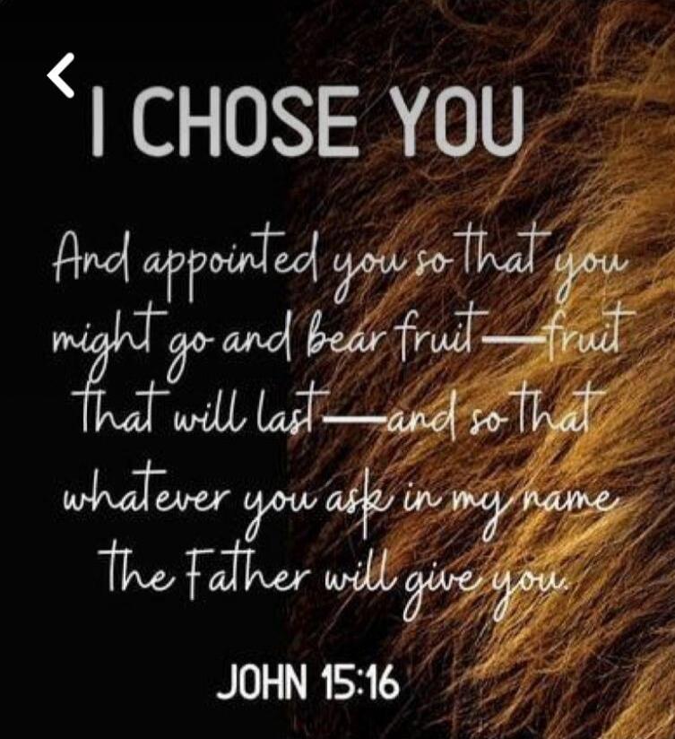 I CHOSE YOU And appointed you so that you might go and bear fruit—fruit that will last—and so that whatever you ask in my name the Father will give you. JOHN 15:16