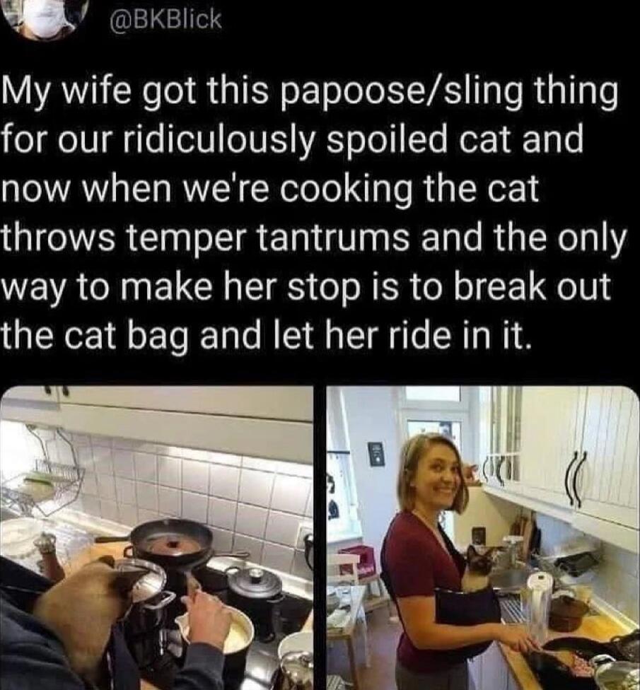 SENGLIGIE My wife got this papoosesling thing for our ridiculously spoiled cat and now when were cooking the cat throws temper tantrums and the only WEVACINELCH IS s N ER e o E oINS the cat bag and let her ride in it