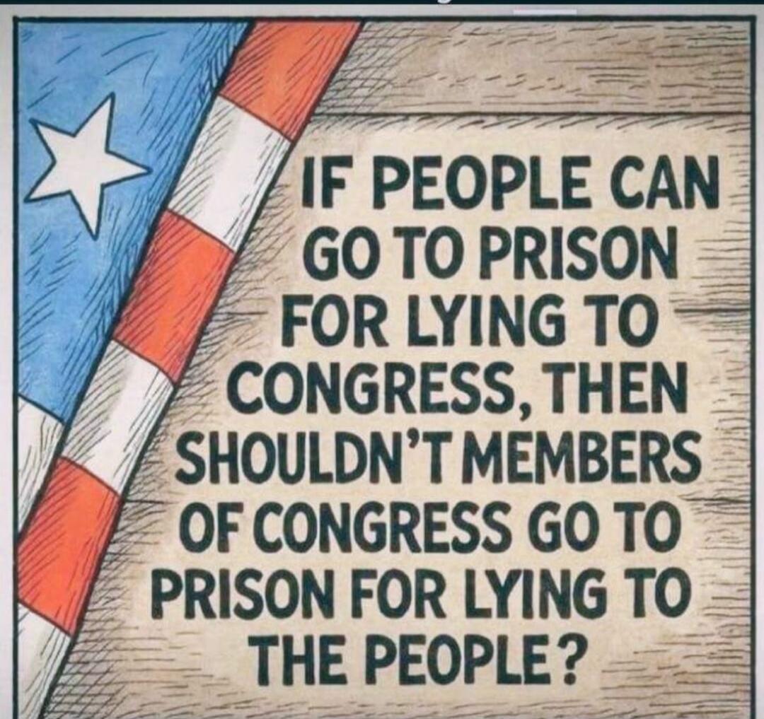 IF PEOPLE CAN GO TO PRISON FOR LYING TO CONGRESS, THEN SHOULDN'T MEMBERS OF CONGRESS GO TO PRISON FOR LYING TO THE PEOPLE?