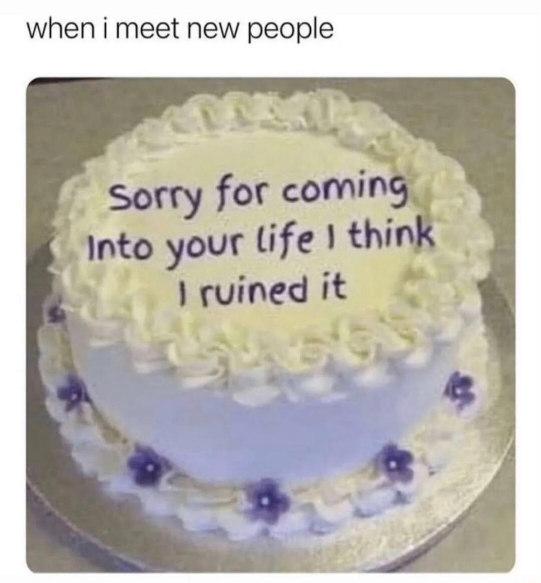 when i meet new people Sorry for coming into your life I think I ruined it