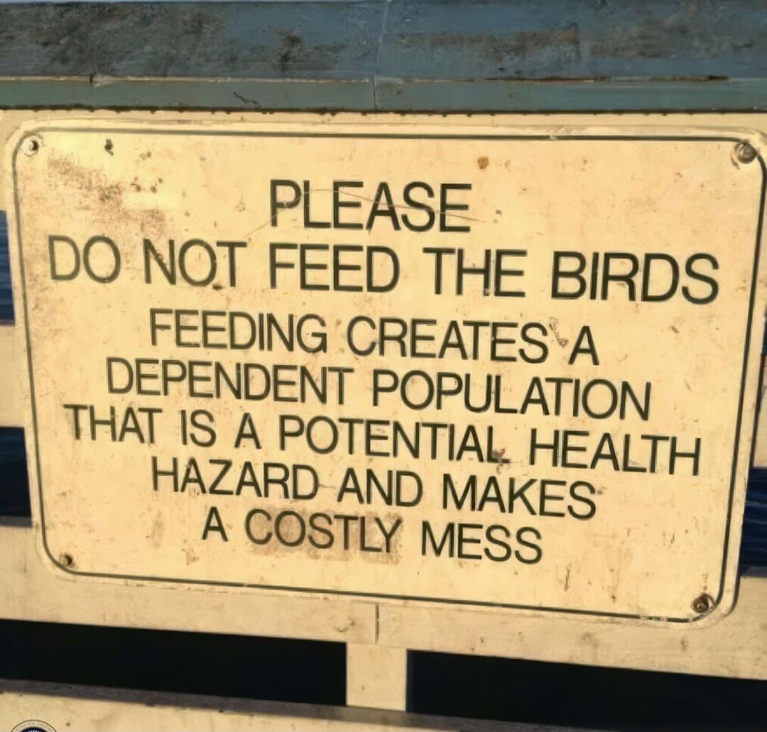 PLEASE DO NOT FEED THE BIRDS FEEDING CREATES A DEPENDENT POPULATION THAT IS A POTENTIAL HEALTH HAZARD AND MAKES A COSTLY MESS