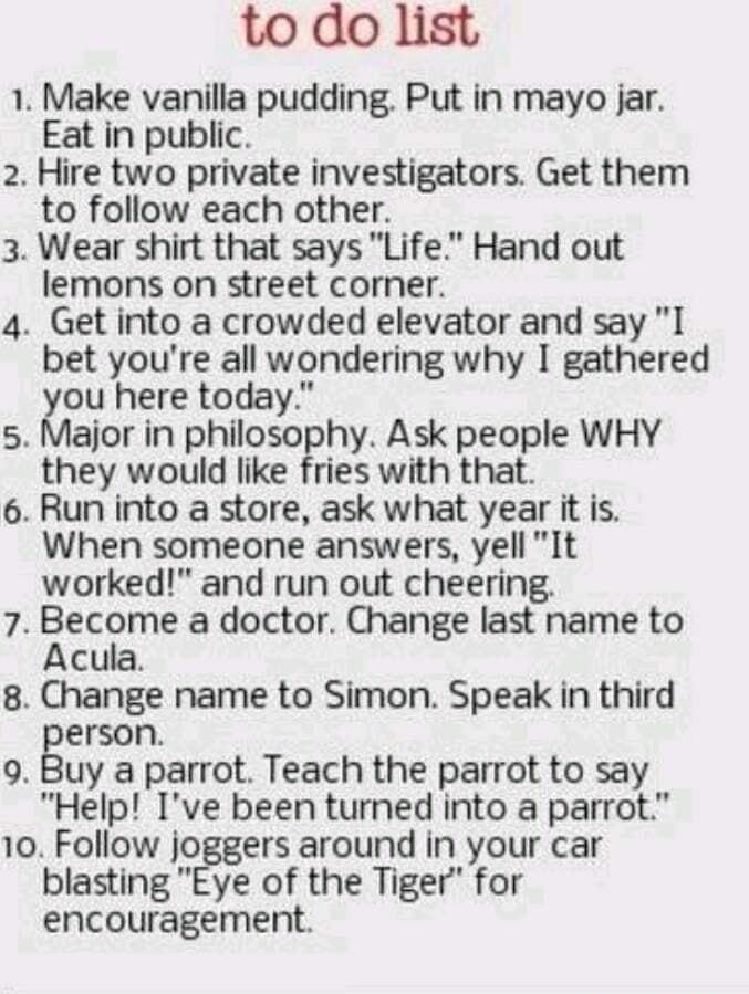 to do list 1 Make vanilla pudding Put in mayo jar Eat in public 2 Hire two private investigators Get them to follow each other 3 Wear shirt that says Life Hand out lemons on street corner 4 Get into a crowded elevator and say 1 bet youre all wondering why I gathered you here today 5 Major in philosophy Ask people WHY they would like fries with that 6 Run into a store ask what year it is When someo