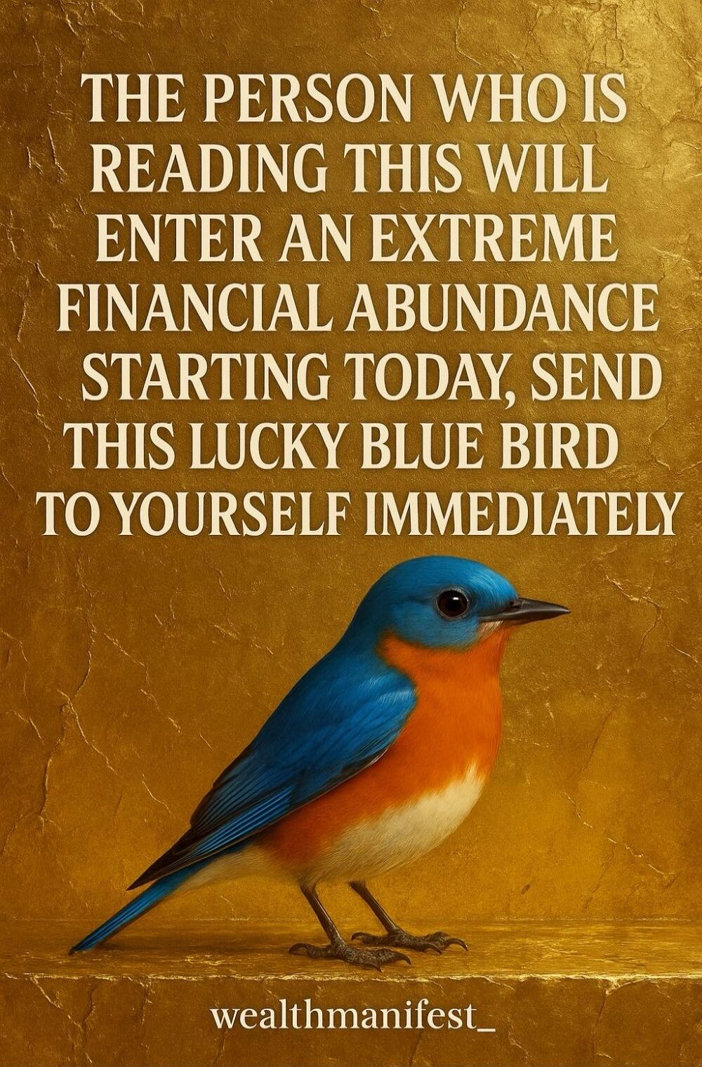 THE PERSON WHO IS READING THIS WILL ENTER AN EXTREME FINANCIAL ABUNDANCE STARTING TODAY, SEND THIS LUCKY BLUE BIRD TO YOURSELF IMMEDIATELY
wealthmanifest_