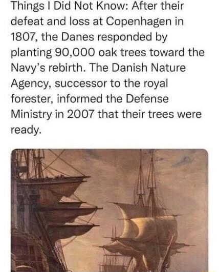 Things Did Not Know After their defeat and loss at Copenhagen in 1807 the Danes responded by planting 90000 oak trees toward the Navys rebirth The Danish Nature Agency successor to the royal forester informed the Defense Ministry in 2007 that their trees were ready