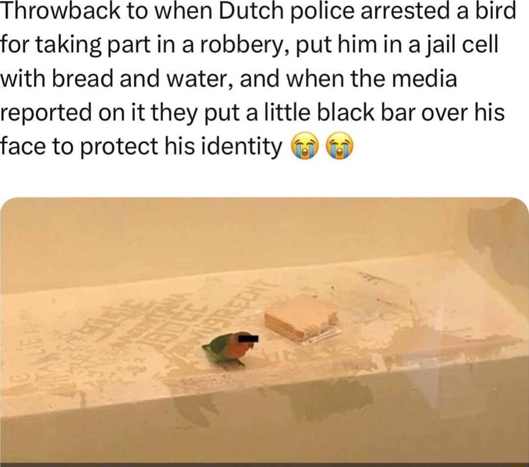 Throwback to when Dutch police arrested a bird for taking part in a robbery put him in a jail cell with bread and water and when the media reported on it they put a little black bar over his face to protect his identity