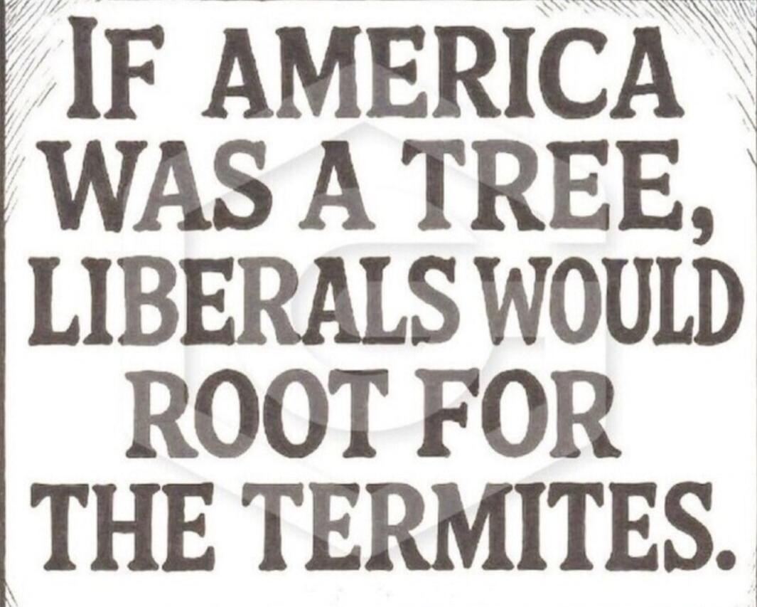 IF AMERICA WAS A TREE, LIBERALS WOULD ROOT FOR THE TERMITES.