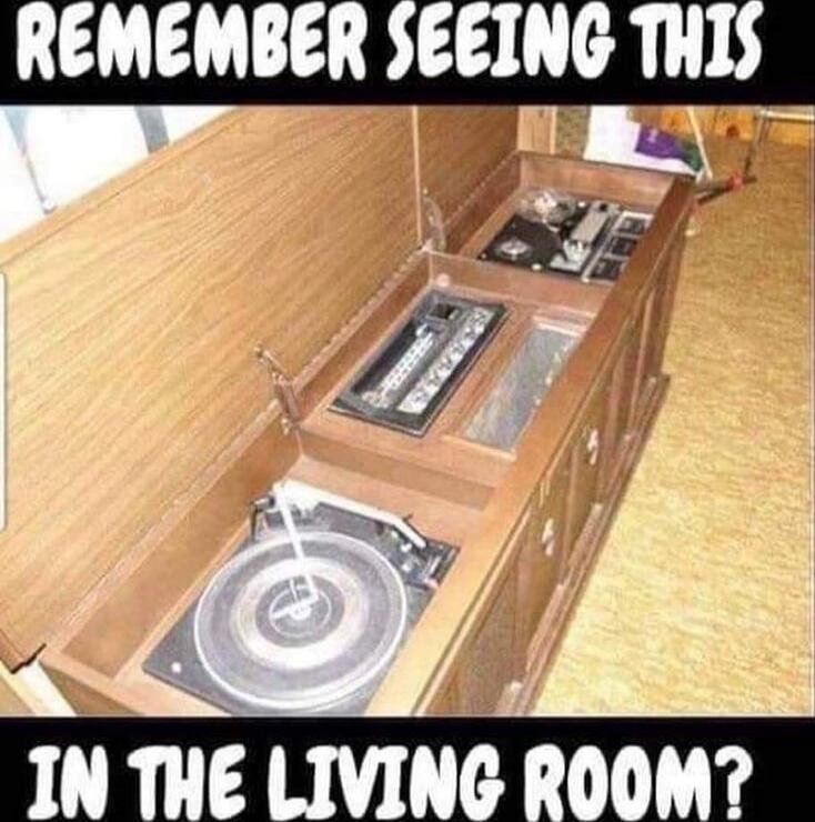 REMEMBER SEEING THIS IN THE LIVING ROOM?