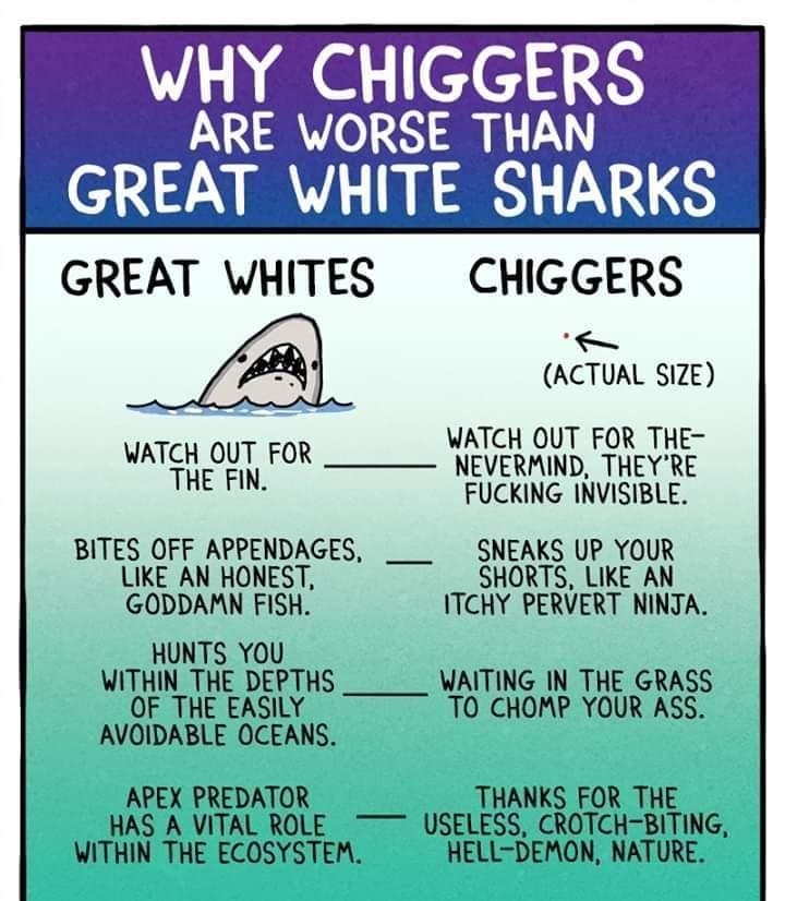YA efel 135 ARE WORSE THAN GREAT WHITE SHARKS GREAT WHITES CHIGGERS o ACTUAL SIZE WATCH OUT FOR THE ATCH QUL CF NEVERMIND THEYRE FUCKING INVISIBLE BITES OFF APPENDAGES _ SNEAKS UP YOUR LIKE AN HONEST SHORTS LIKE AN GODDAPN FISH ITCHY PERVERT NINJA UNTS YOU UITHIN THE DEPTHS ____ WAITING IN THE GRASS OF THE EASILY TO CHOMP YOUR ASS AVOIDABLE OCEANS APEX PREDATOR THANKS FOR THE HAS A VITAL ROLE USEL