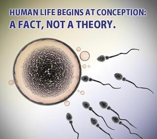 UMAN LIFE BEGINS AT CONCEPTION AFACT NOT A THEORY