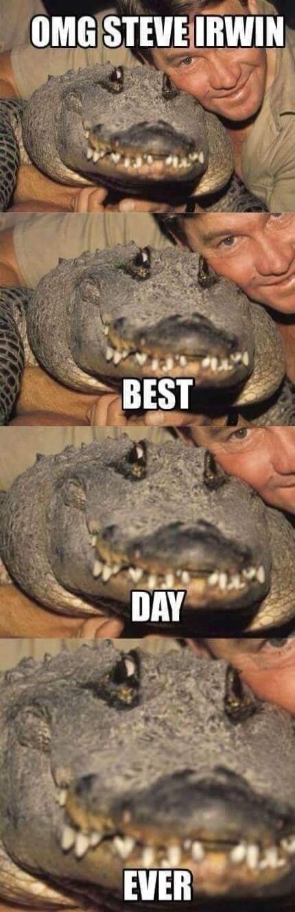 OMG STEVE IRWIN BEST DAY EVER